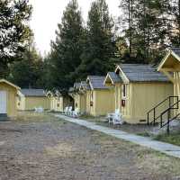 🛏️ Where to Stay When Visiting Yellowstone National Park 🏕️🐻