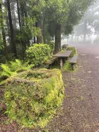 The Azores are one of the best hiking destinations in the world. 