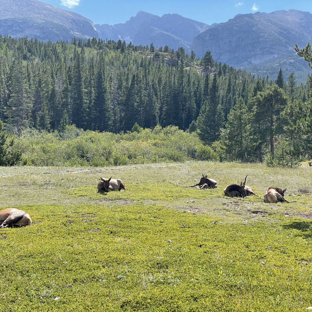 🏡 Where to Stay for Rocky Mountain National Park? Let’s Talk Towns + Tips! 🏞️