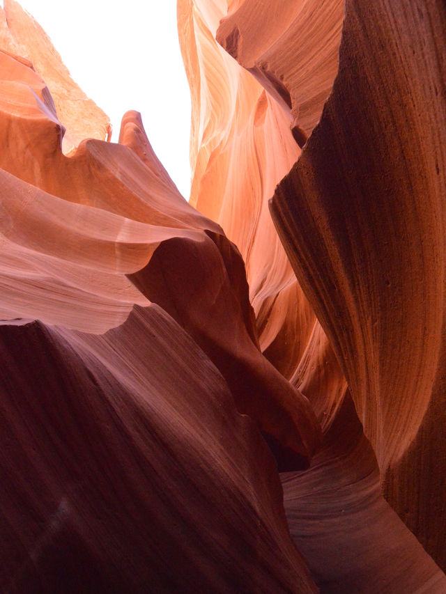 Antelope Canyon. This place is just wow! 