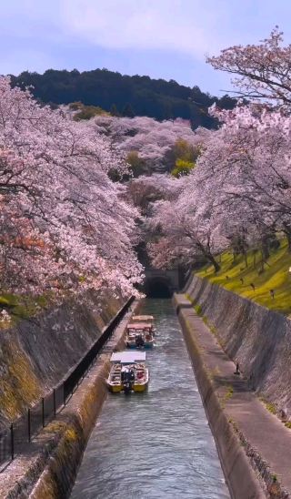 🌊 Lake Biwa Canal: Kyoto’s Lifeline from the Meiji Era