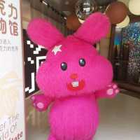 Shanghai, Lovely Puppets found 