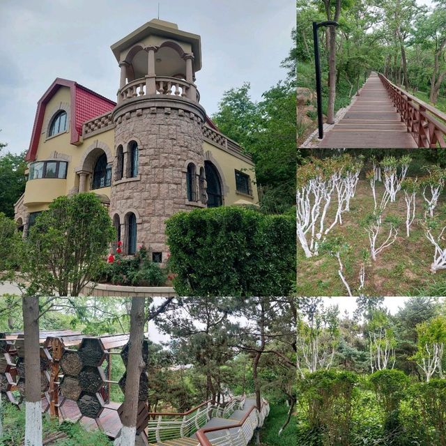 Beautiful parks, Zhongshan park, Botanical garden etc.