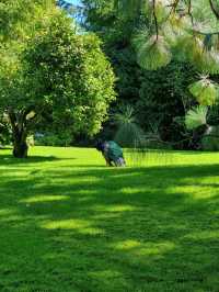 Isola Madre: The Secret Garden of Lake Maggiore