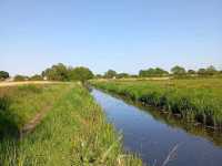 Magor Marsh and the Caldicot Levels 