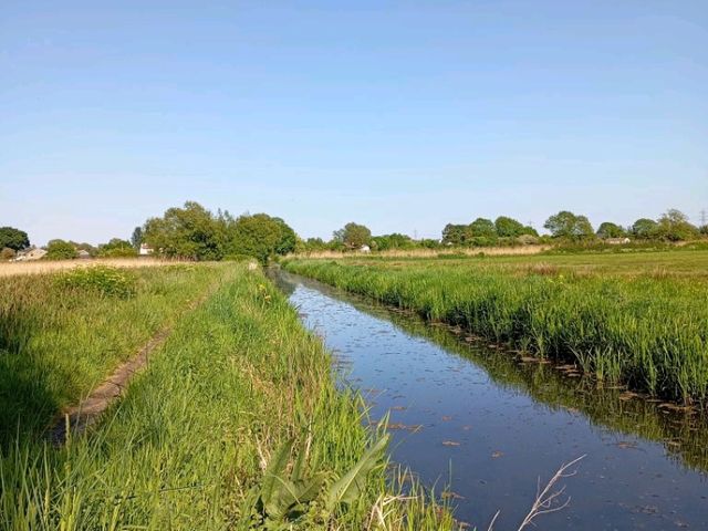 Magor Marsh and the Caldicot Levels 