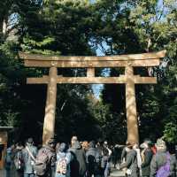 Tokyo: Where Tradition Meets Tomorrow