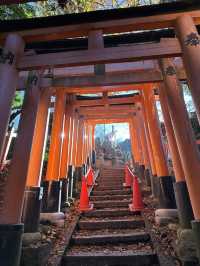 Exploring Kyoto’s spiritual heart was an absolute highlight!