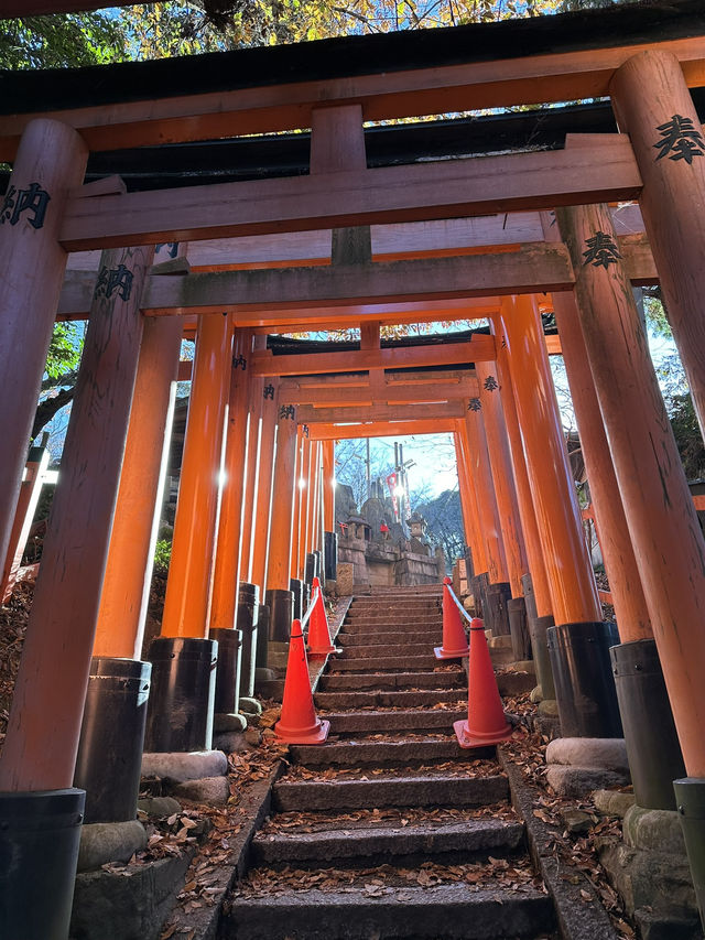 Exploring Kyoto’s spiritual heart was an absolute highlight!