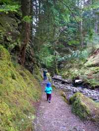 A magical walk in Puck's Glen, Dunoon