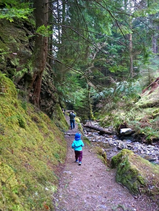 A magical walk in Puck's Glen, Dunoon