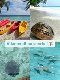 Snorkeling at Vilamendhoo — Where the Ocean Reveals Its Wild Heart
