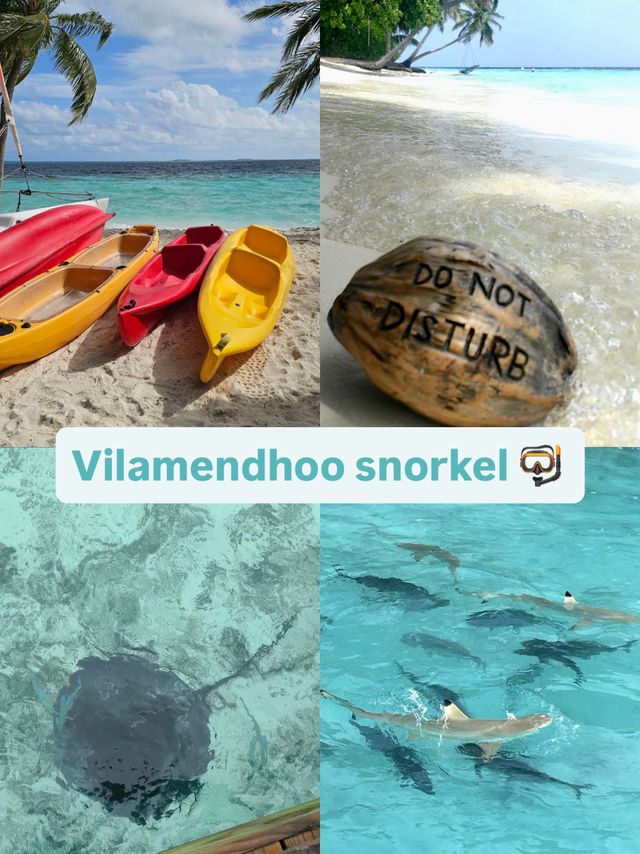 Snorkeling at Vilamendhoo — Where the Ocean Reveals Its Wild Heart