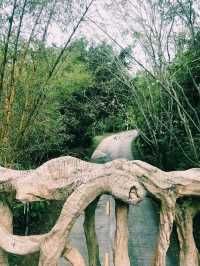 Ради чего стоит посетить тропический парк «Янода» 🌴