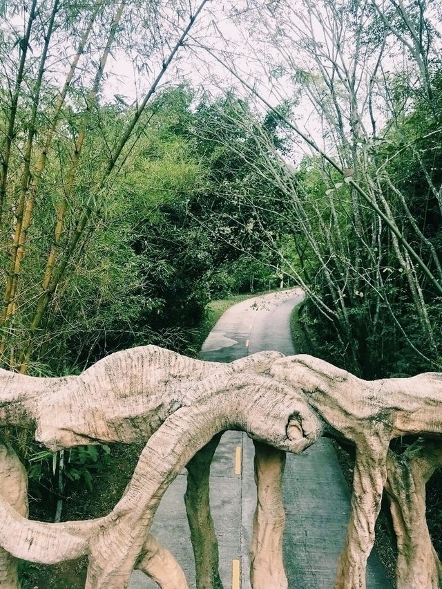 Ради чего стоит посетить тропический парк «Янода» 🌴