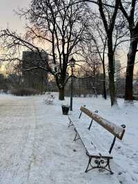 A Peaceful Winter Morning Walk Through Krasiński Garden