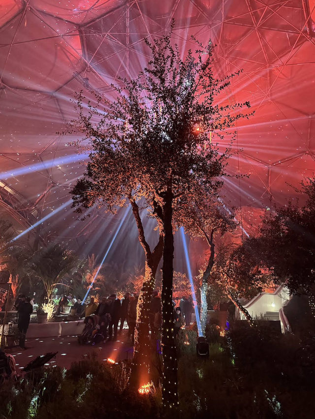 A magical introduction to a world of Christmas lights 🎄✨