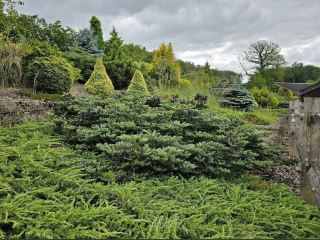 Bedgebury National Pinetum and Forest
