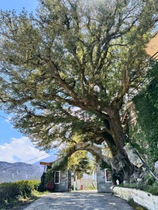 The Beautiful Orthodox Church of Kroustallenia, Crete.