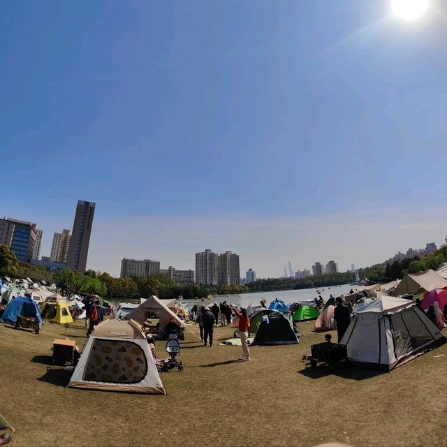 Plane Cemetery in Shanghai !!