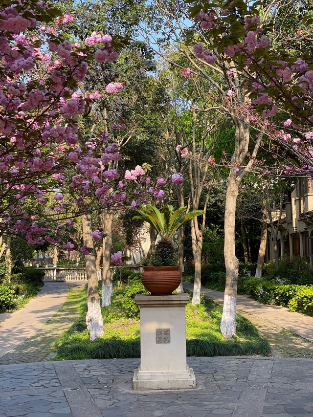 Wondering around Minhang district 