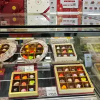 Magic Sweet World of Choco🍫🤩 Shanghai