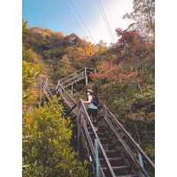 Hiking paradise｜Complete the Ngong Ping Trail in 4 hours!