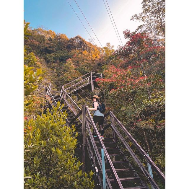 Hiking paradise｜Complete the Ngong Ping Trail in 4 hours!