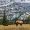 Naturetrip2235