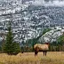 Naturetrip2235