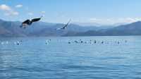 麗江瀘沽湖 | 摩梭人的“母親湖“