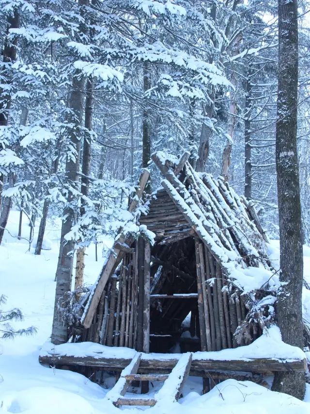 雪谷雪乡と羊草山●童話のキノコの家の森の雪原