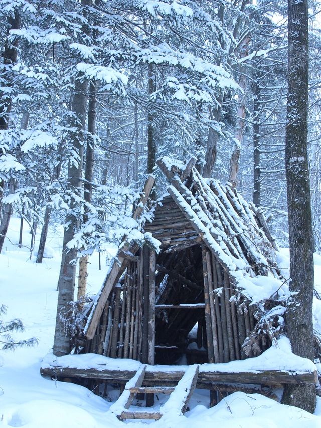 雪谷雪鄉與羊草山●林海雪原裡的童話蘑菇屋