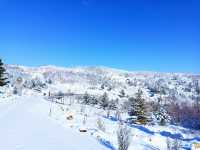 吉林絕美小眾賞雪地：在這個冬天誤入仙境