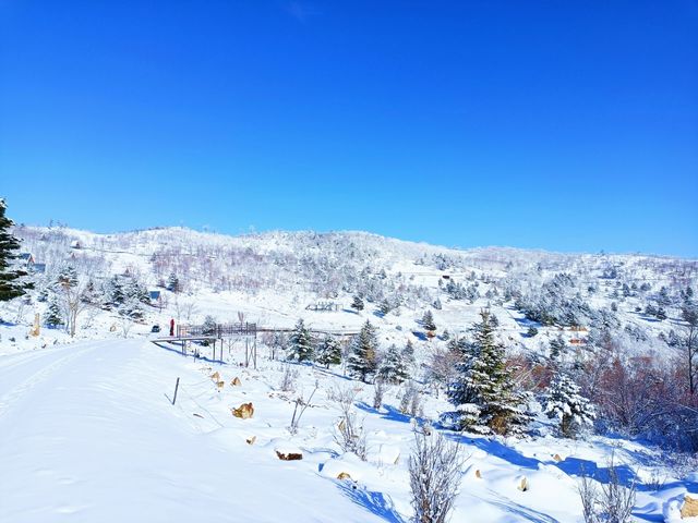 吉林絕美小眾賞雪地：在這個冬天誤入仙境