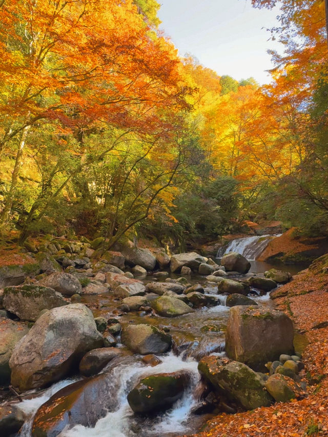 川東北旅行丨尋找四川秋日名片（十八月潭篇）