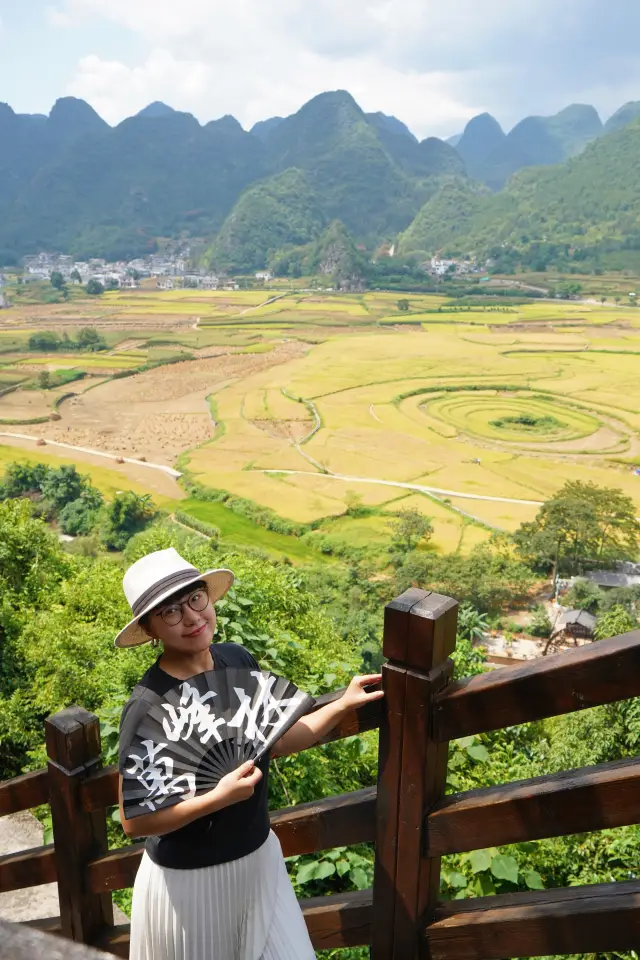 万峰林の田んぼが金色に輝いています！