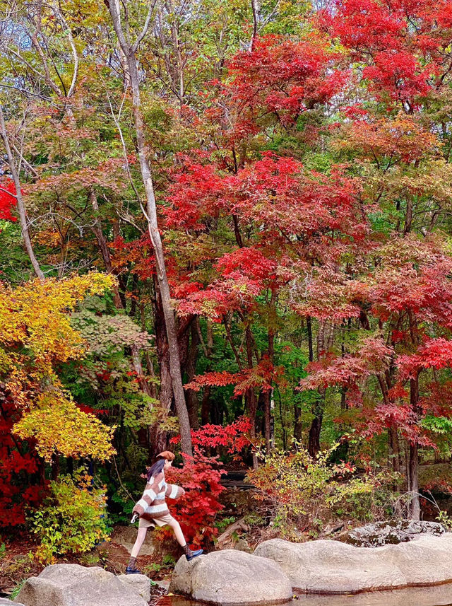 沈陽周邊遊落紅遍野的本溪像油畫一樣濃郁