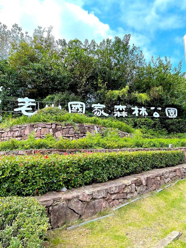 南京老山國家森林公園 | 森林氧吧，徒步踏青好去處