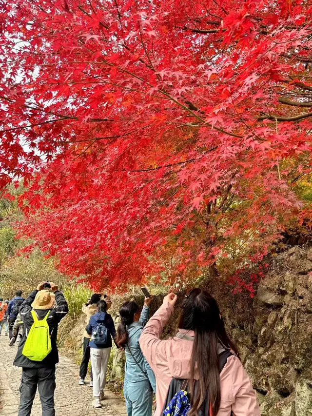 Ningbo Siming Mountain/It's a fairyland in Ningbo!