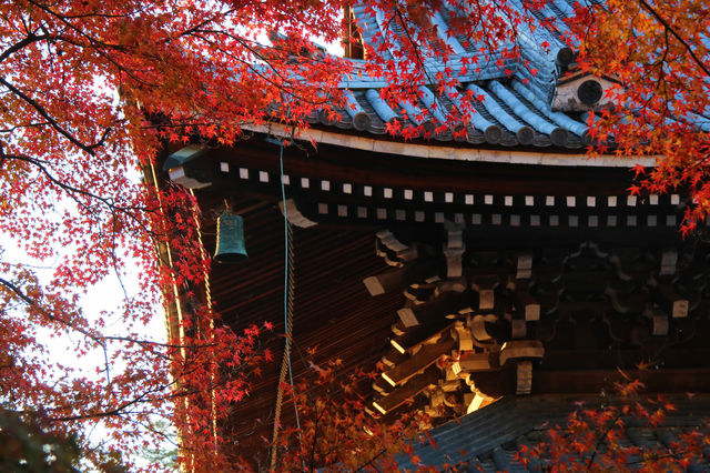 紅葉季必湊熱鬧的清水寺和南禪寺