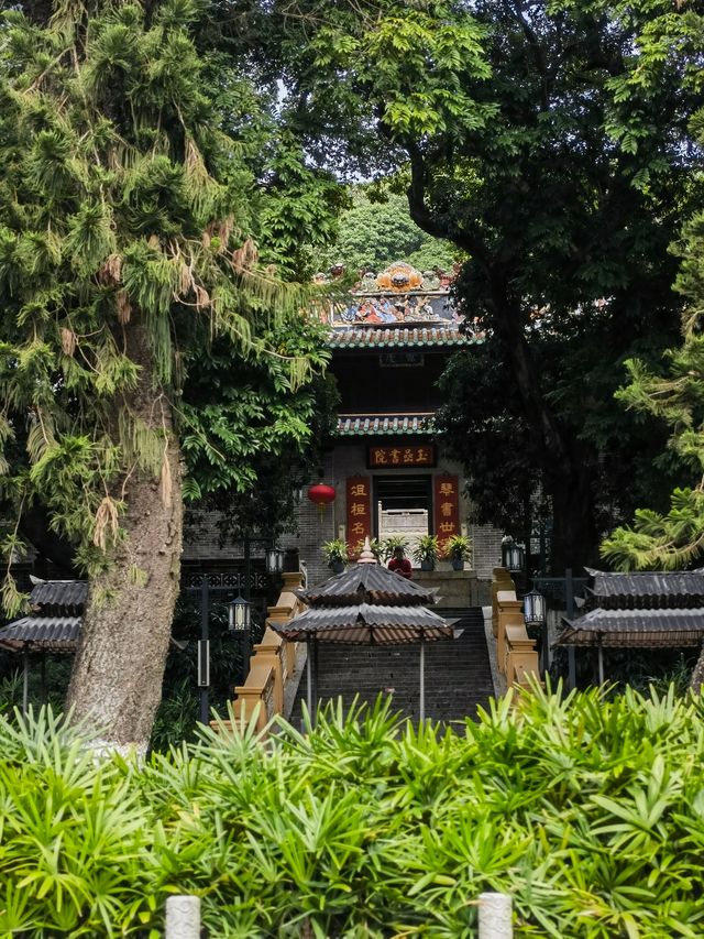 那一抹宮粉～你不知道香雪公園的美