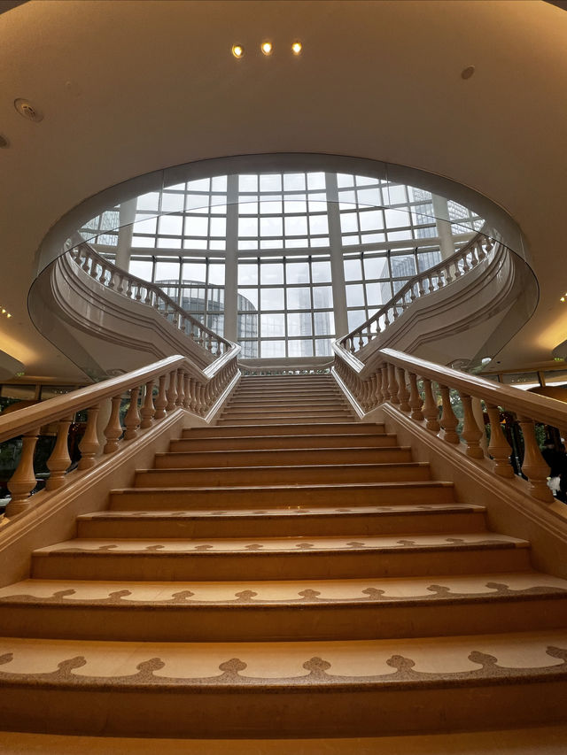 這家博物館與陽光很配｜上海震旦博物館