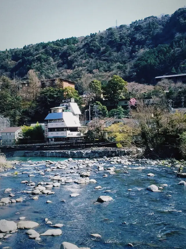 箱根湯本温泉、素晴らしい生活を楽しむ