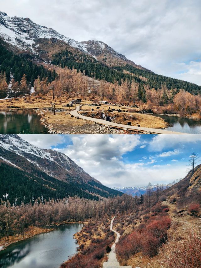 川西人少景美狗狗友好景區瑪嘉溝，強推!