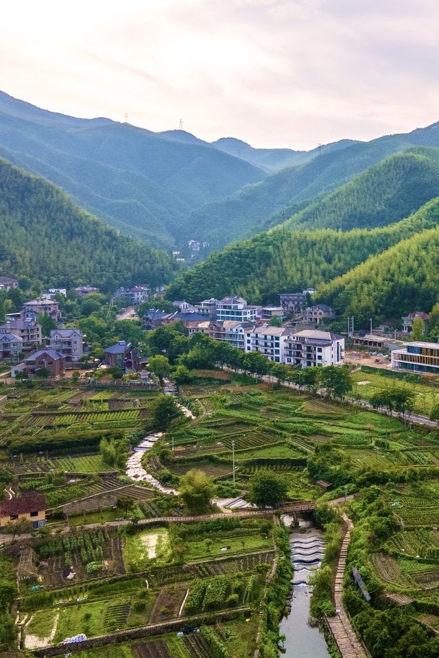 隱居山林的悠然假日，莫幹山寶藏民宿