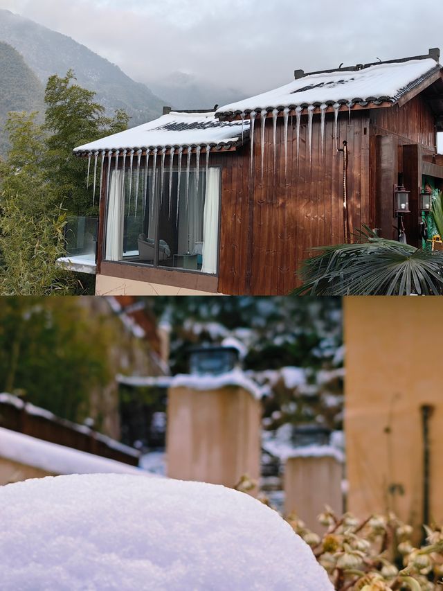柴門聞犬吠，風雪夜歸人-衢州雪景民宿雨印茶坪