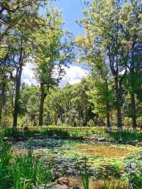 【大理古城】季羡林題匾 藏在古城裡的後花園
