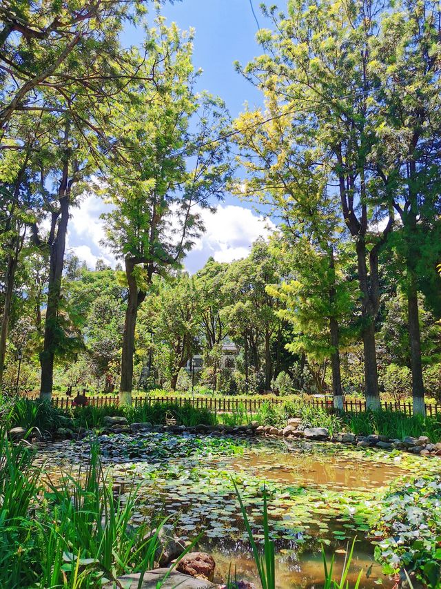 【大理古城】季羡林題匾 藏在古城裡的後花園