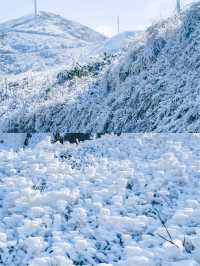 雲冰山！冬季來此遊玩，絕不可錯過